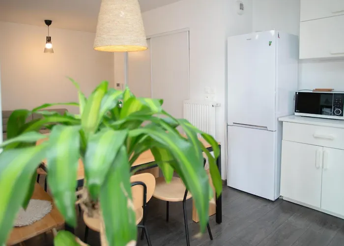 Lägenhet Moderne Au Centre Strasbourg
